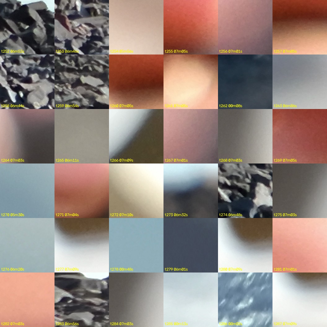 montage_07.jpg