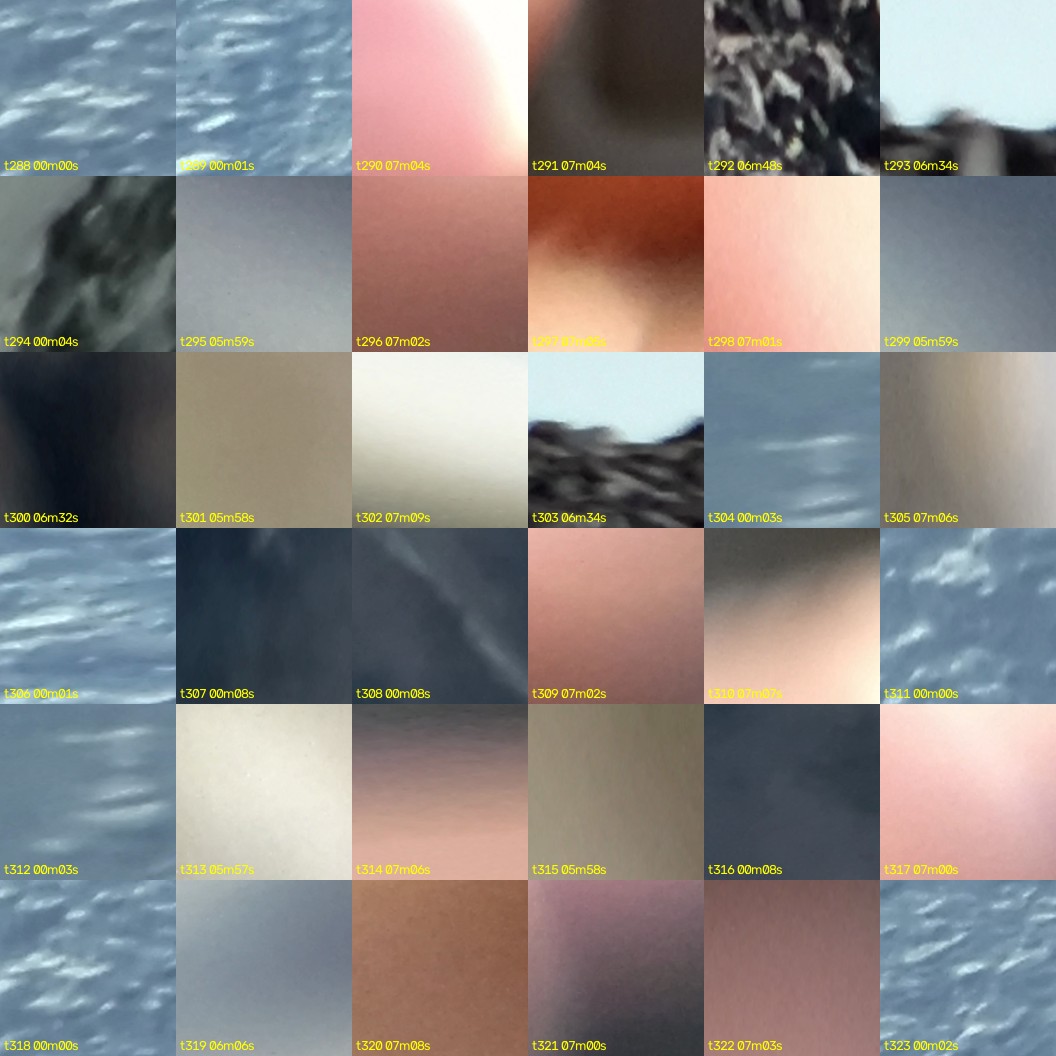 montage_08.jpg