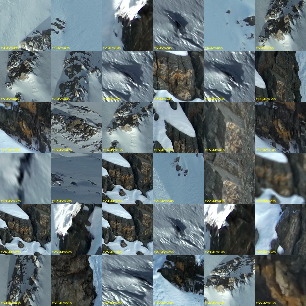 montage_00.jpg