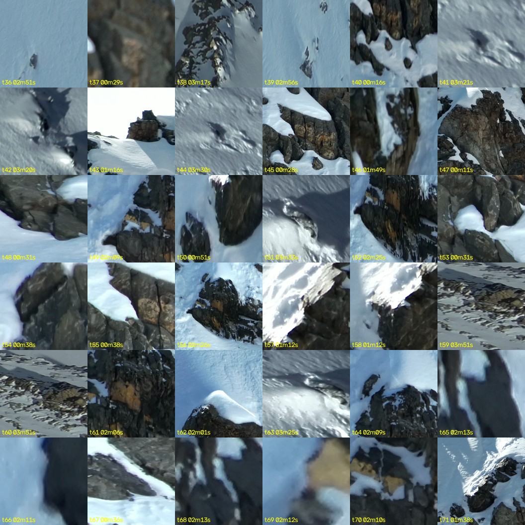 montage_01.jpg