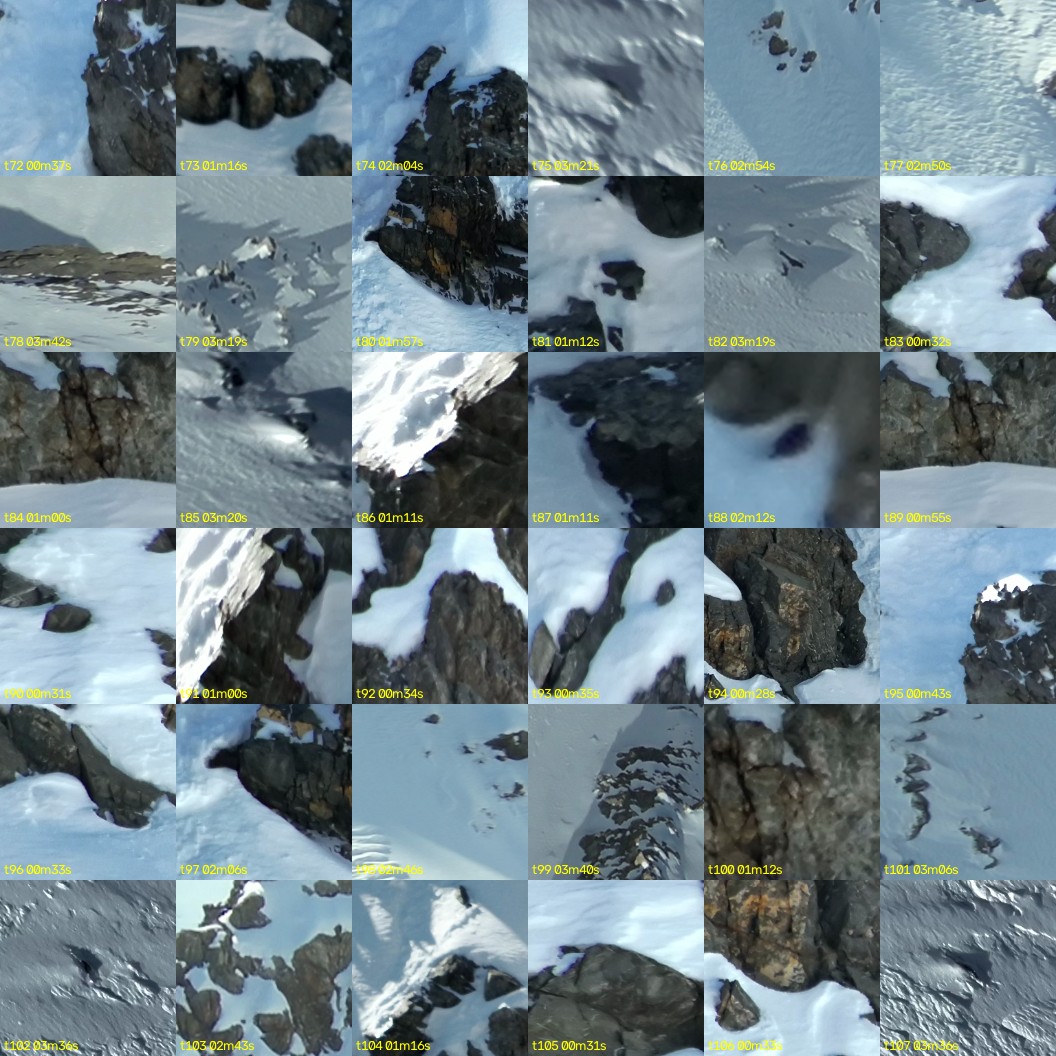montage_02.jpg
