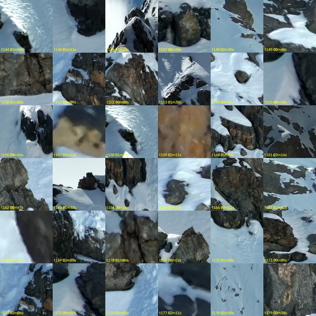 montage_04.jpg