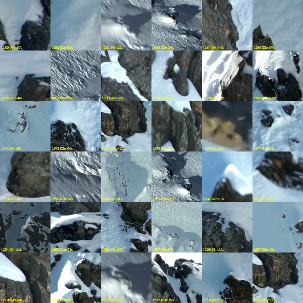 montage_05.jpg