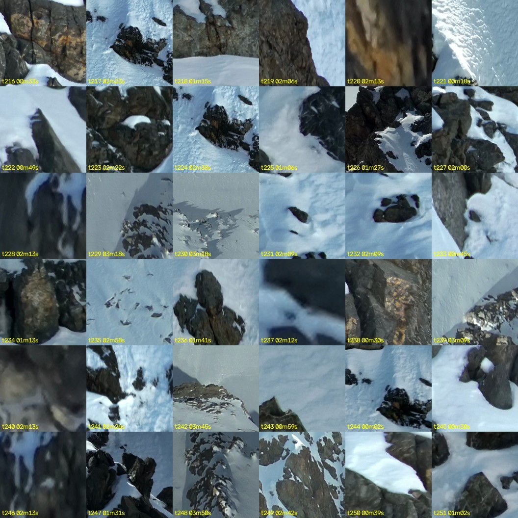 montage_06.jpg