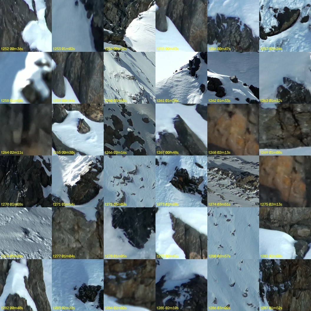 montage_07.jpg