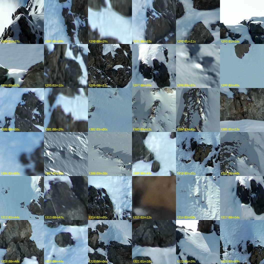 montage_08.jpg