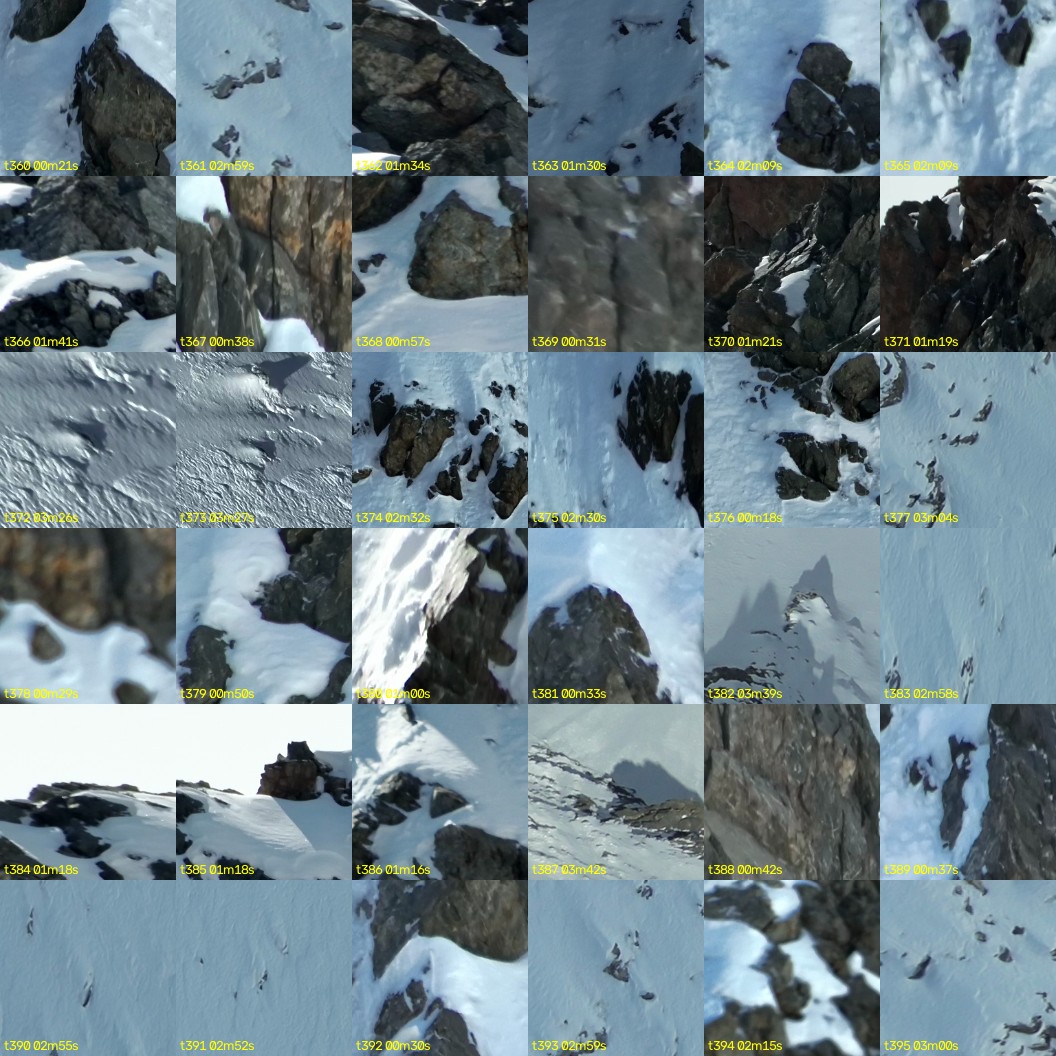 montage_10.jpg