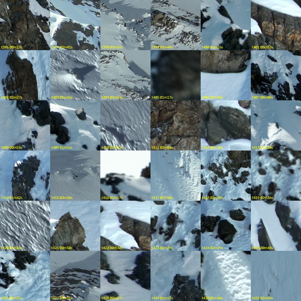 montage_11.jpg
