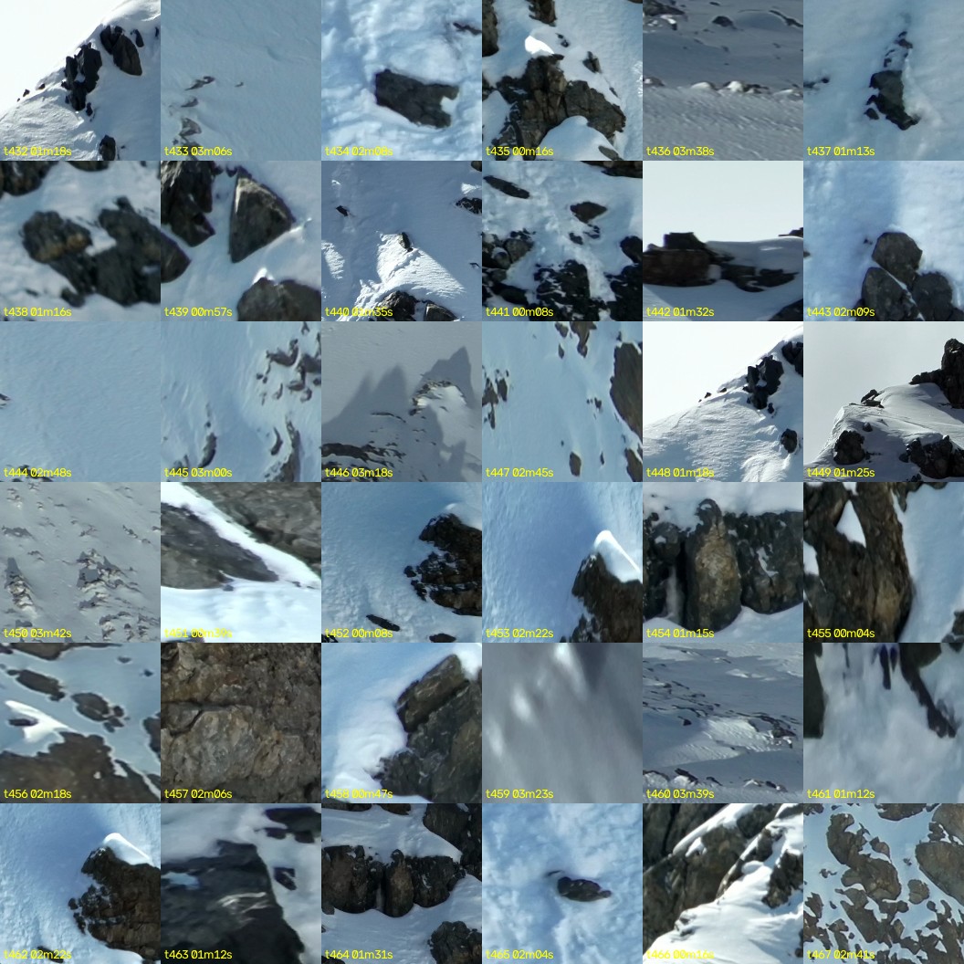 montage_12.jpg