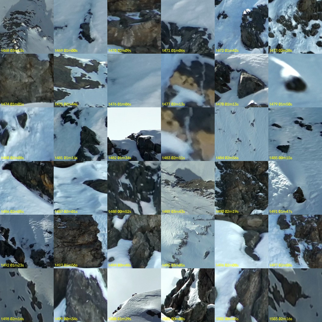 montage_13.jpg
