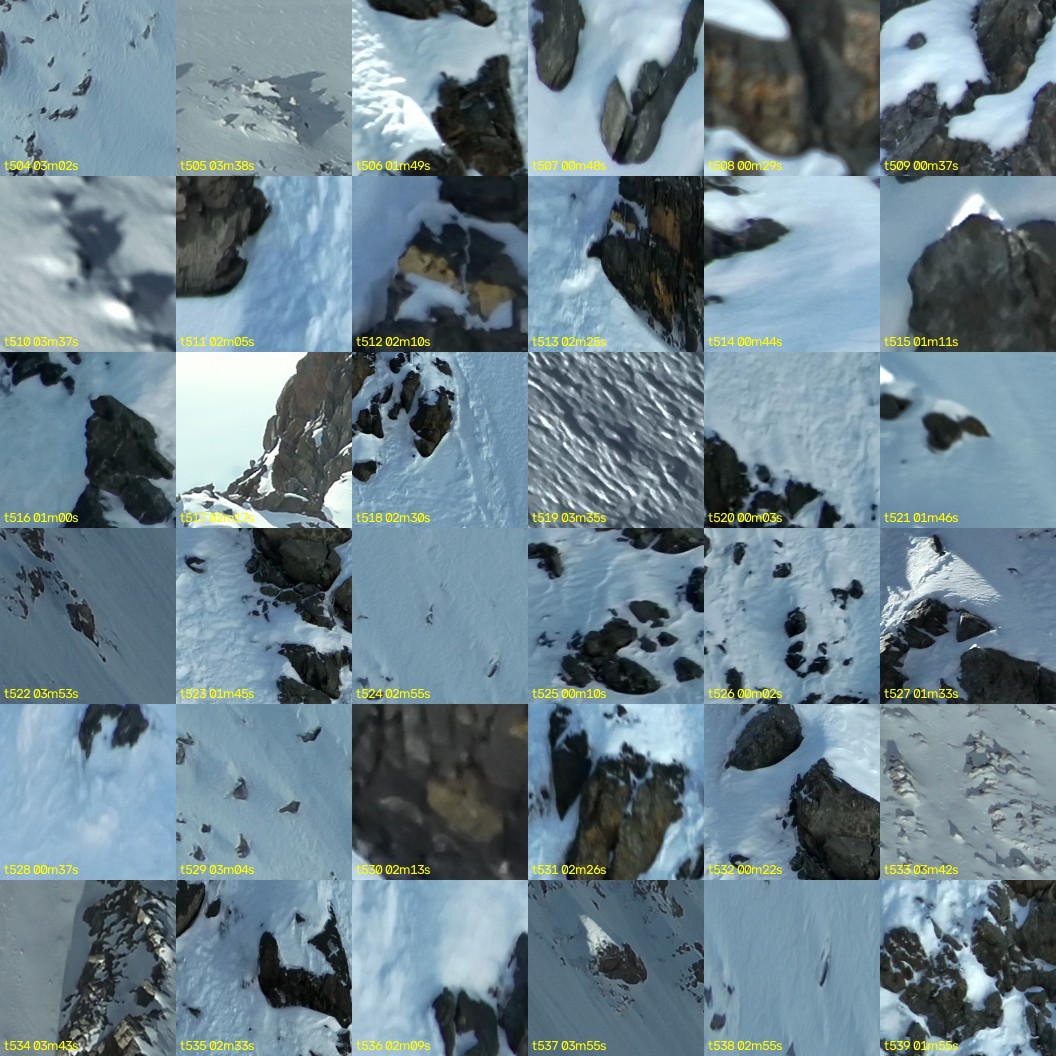 montage_14.jpg