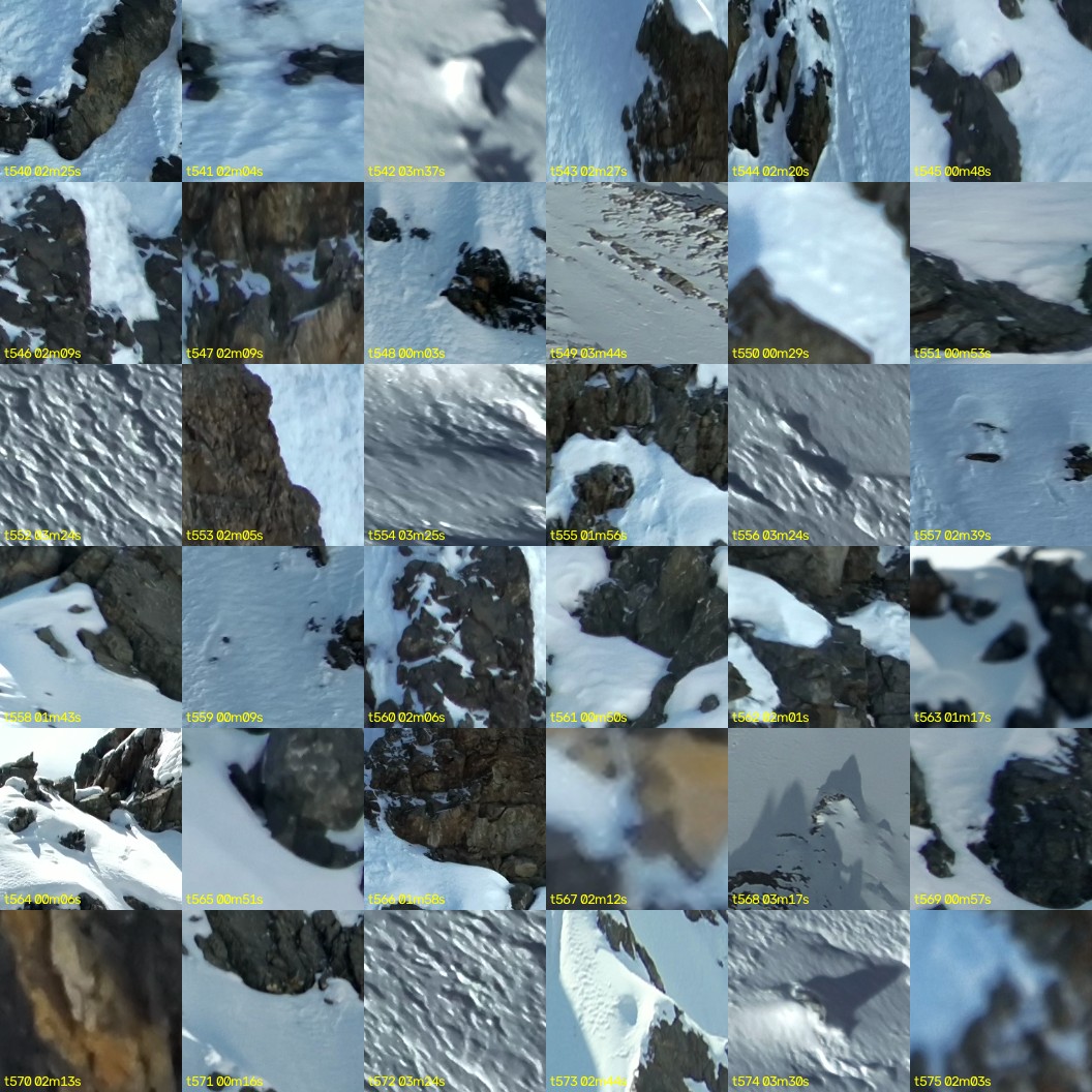 montage_15.jpg