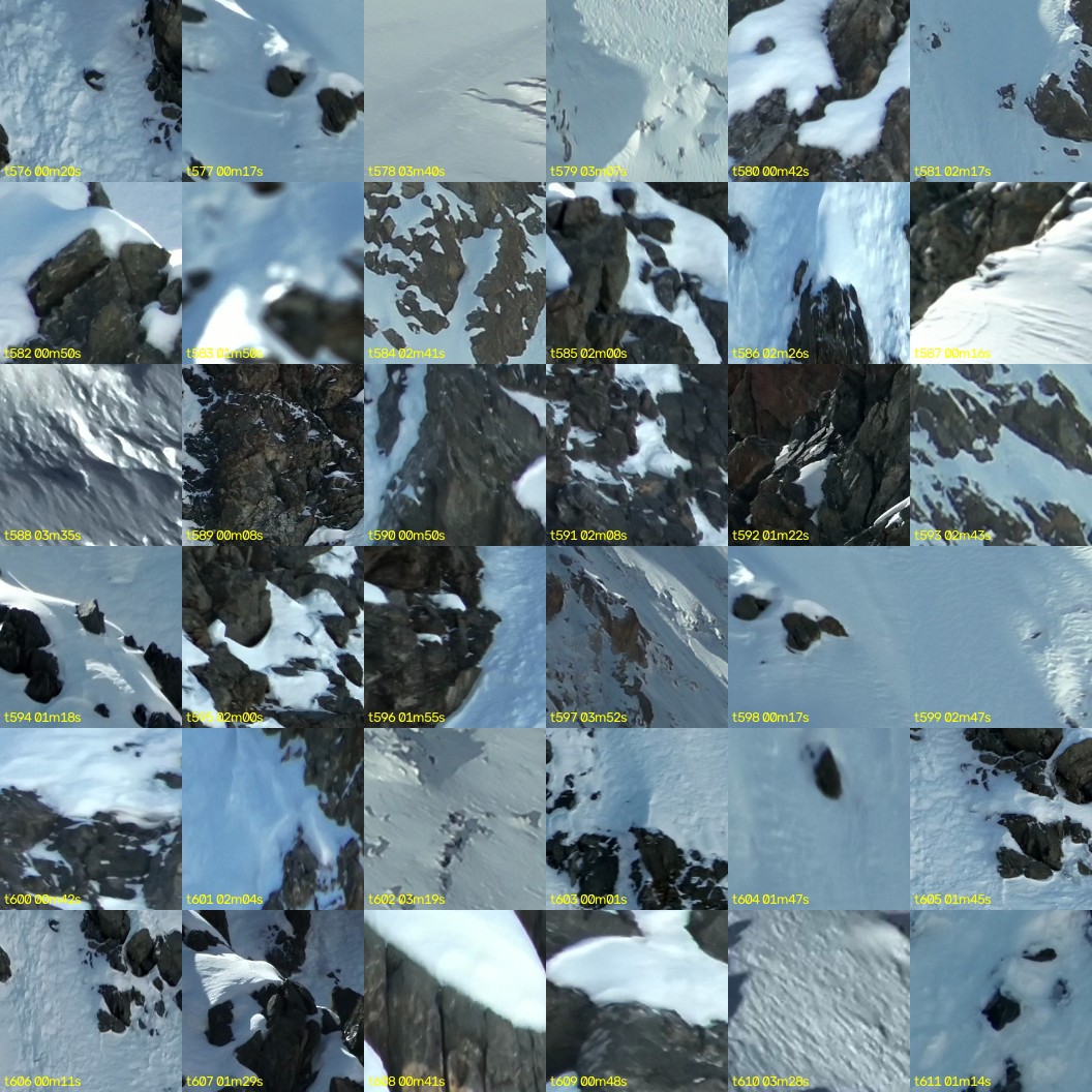 montage_16.jpg