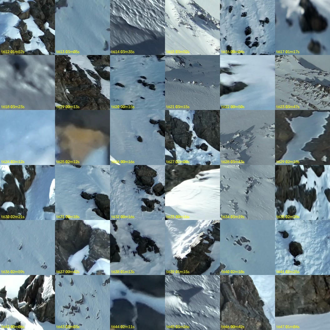 montage_17.jpg