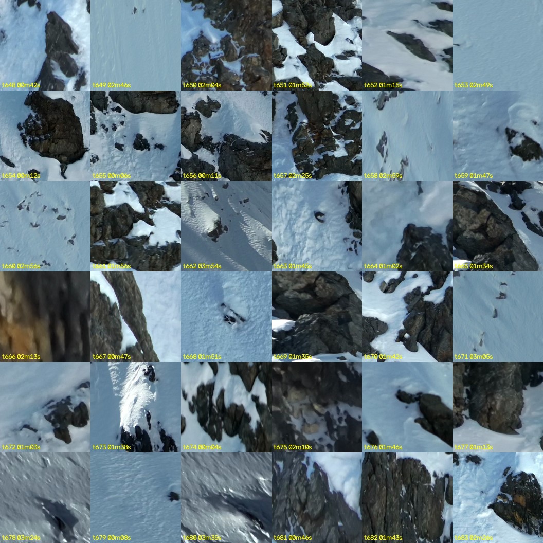 montage_18.jpg