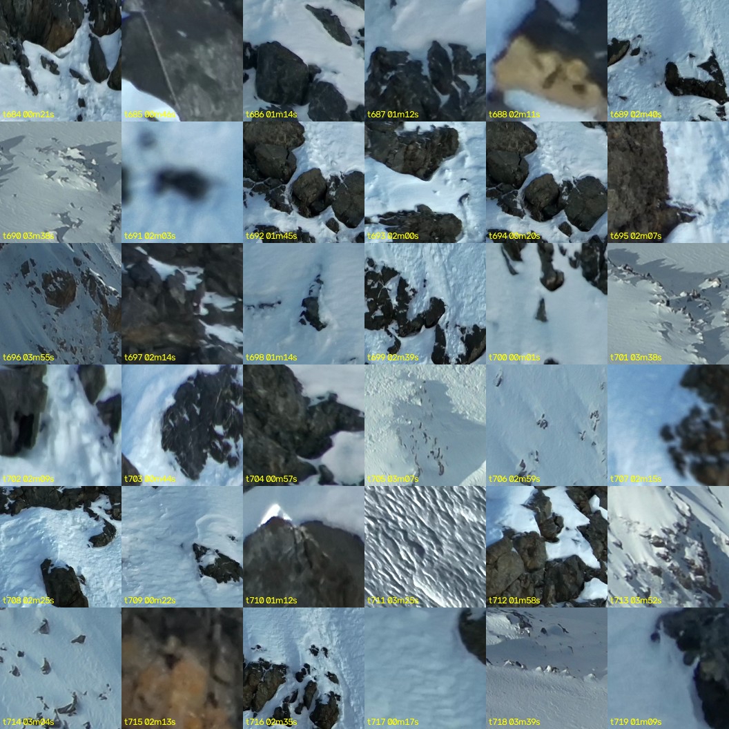 montage_19.jpg