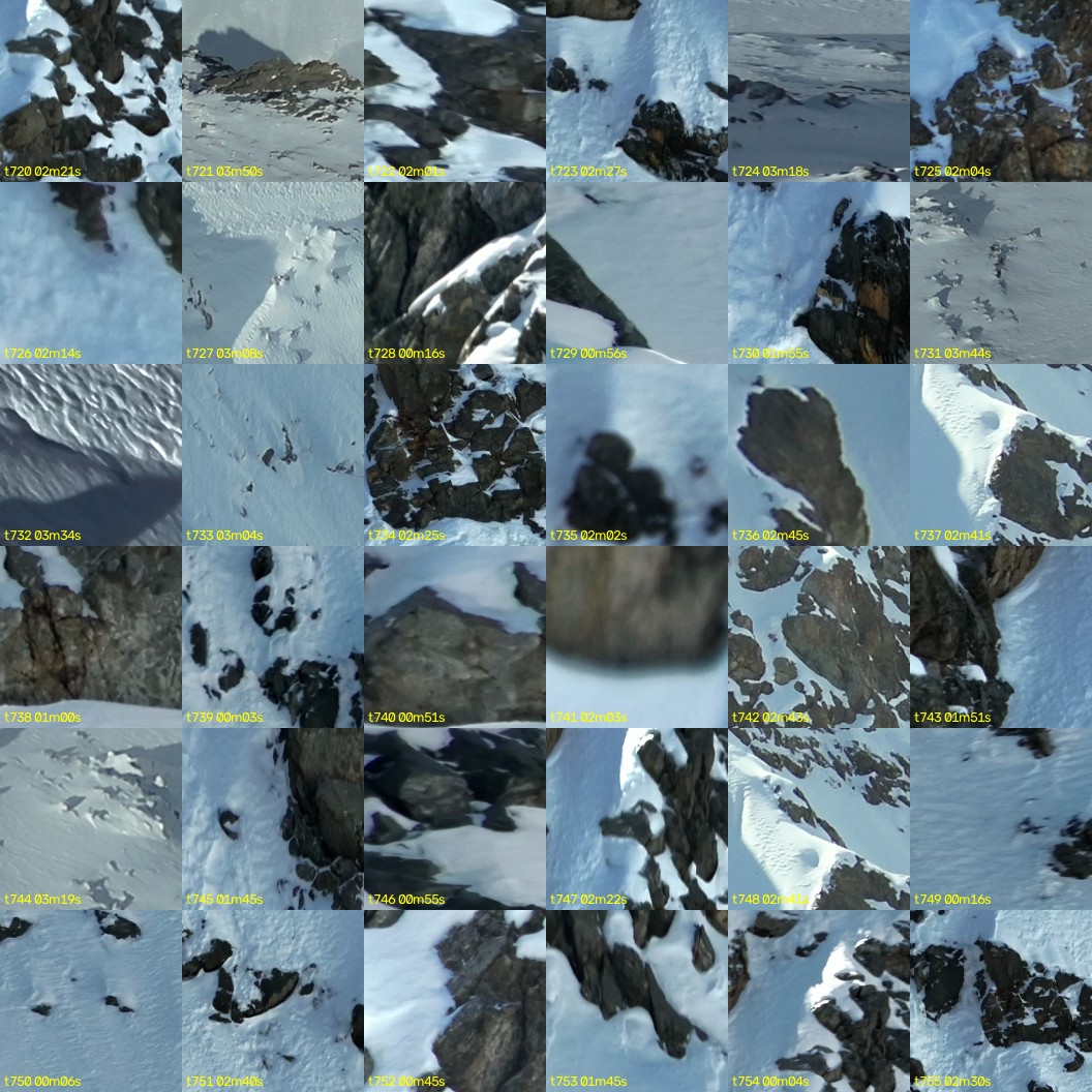 montage_20.jpg