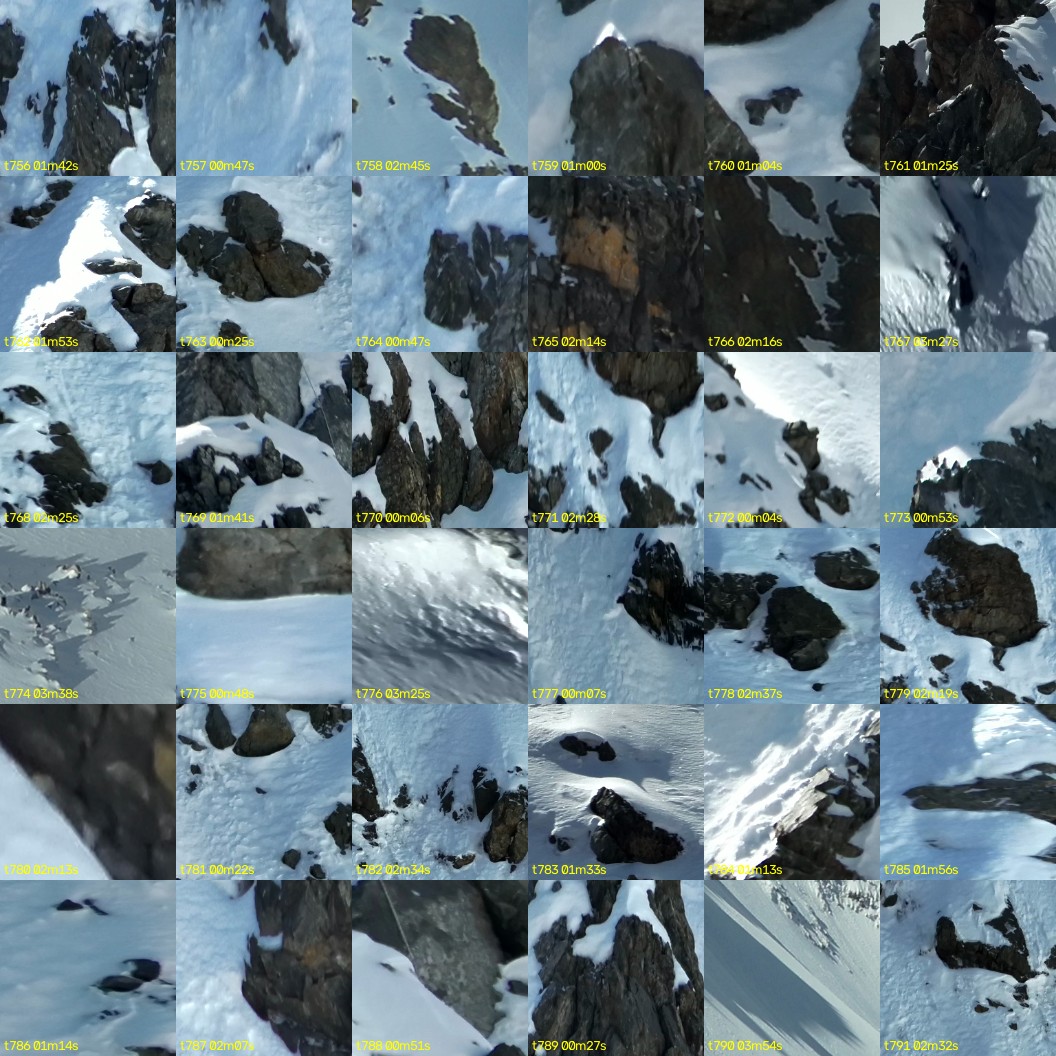 montage_21.jpg