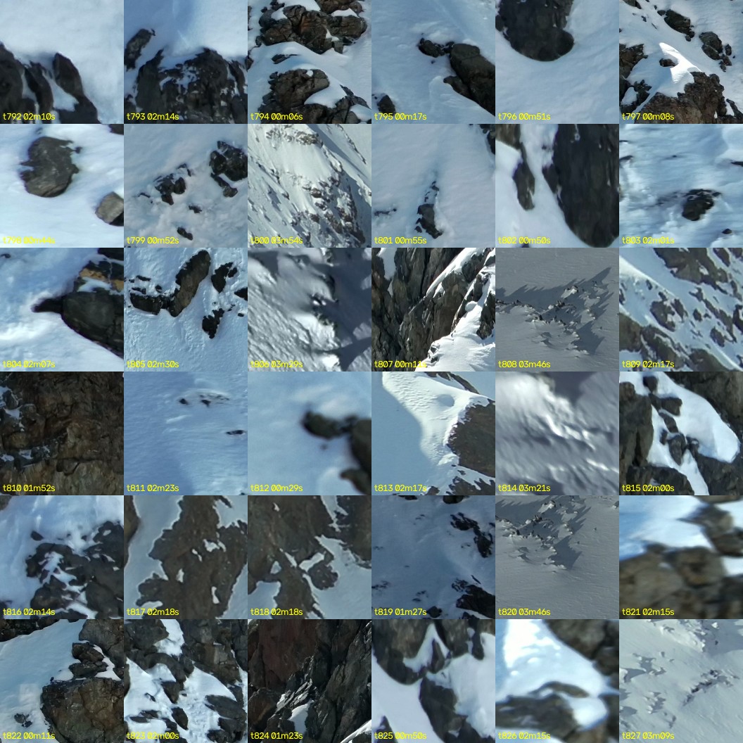 montage_22.jpg