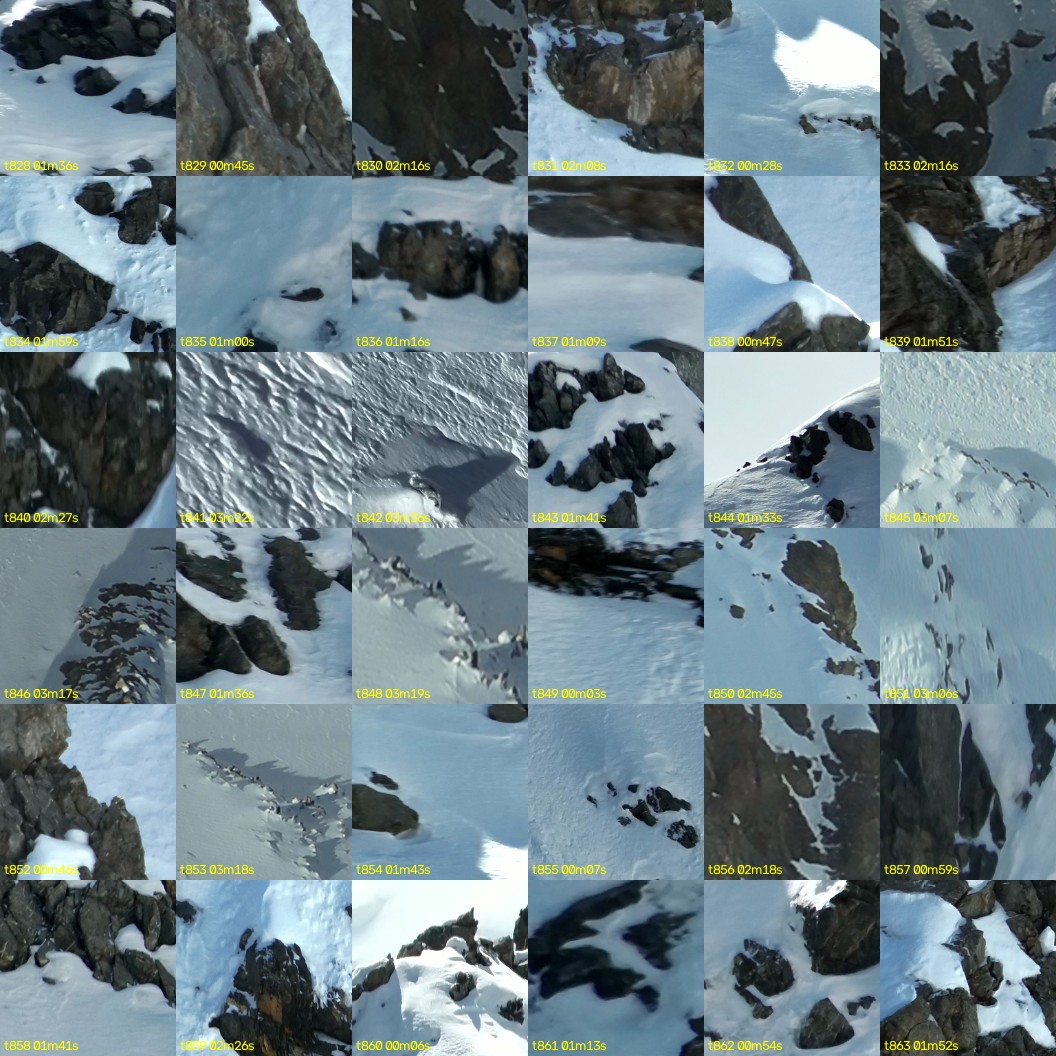 montage_23.jpg