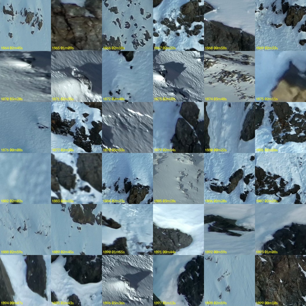 montage_24.jpg