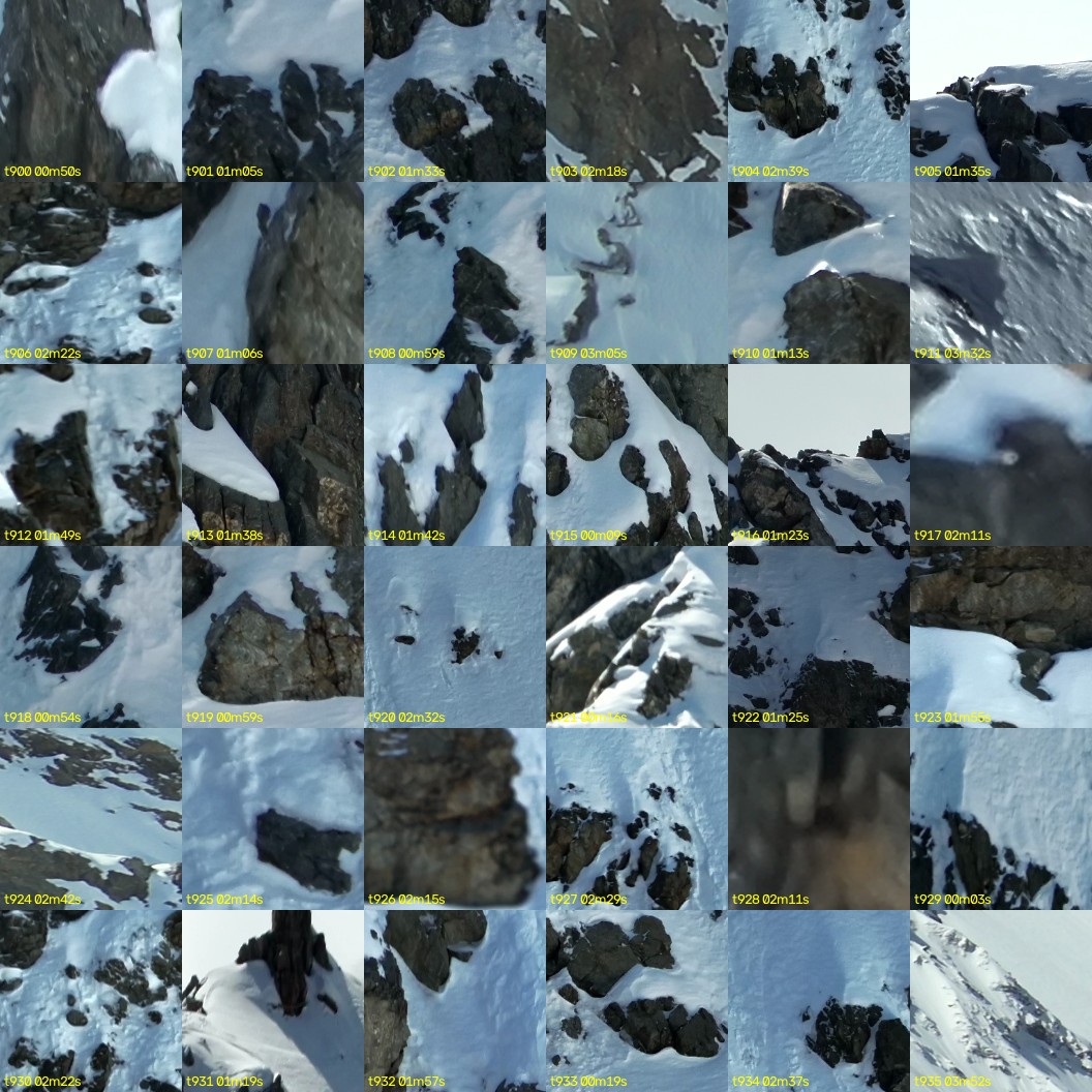 montage_25.jpg