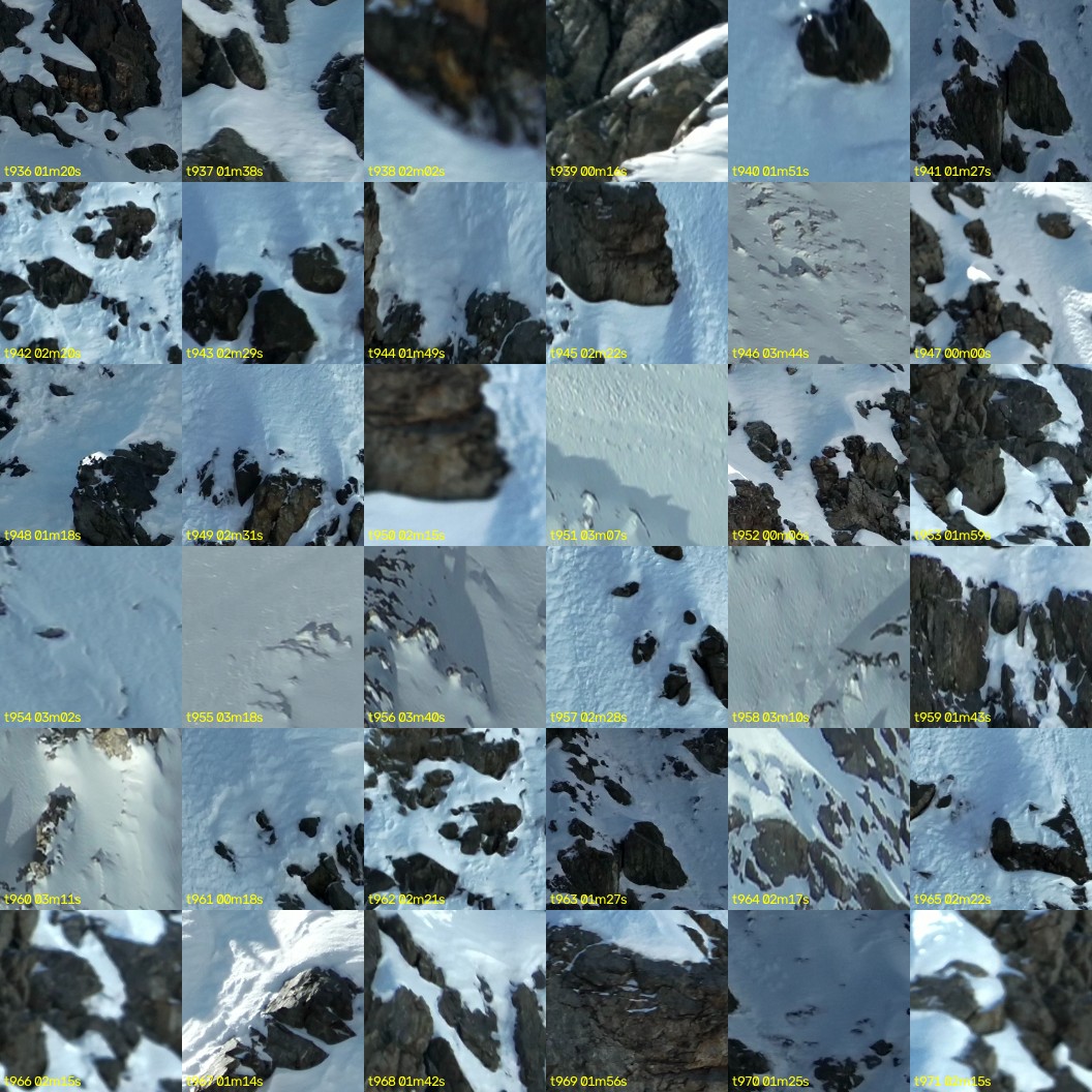 montage_26.jpg