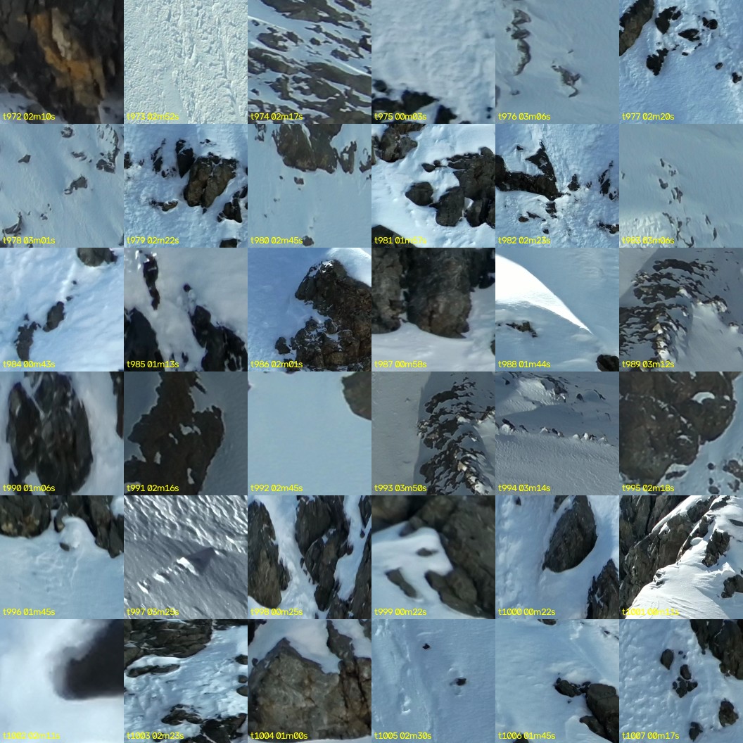 montage_27.jpg