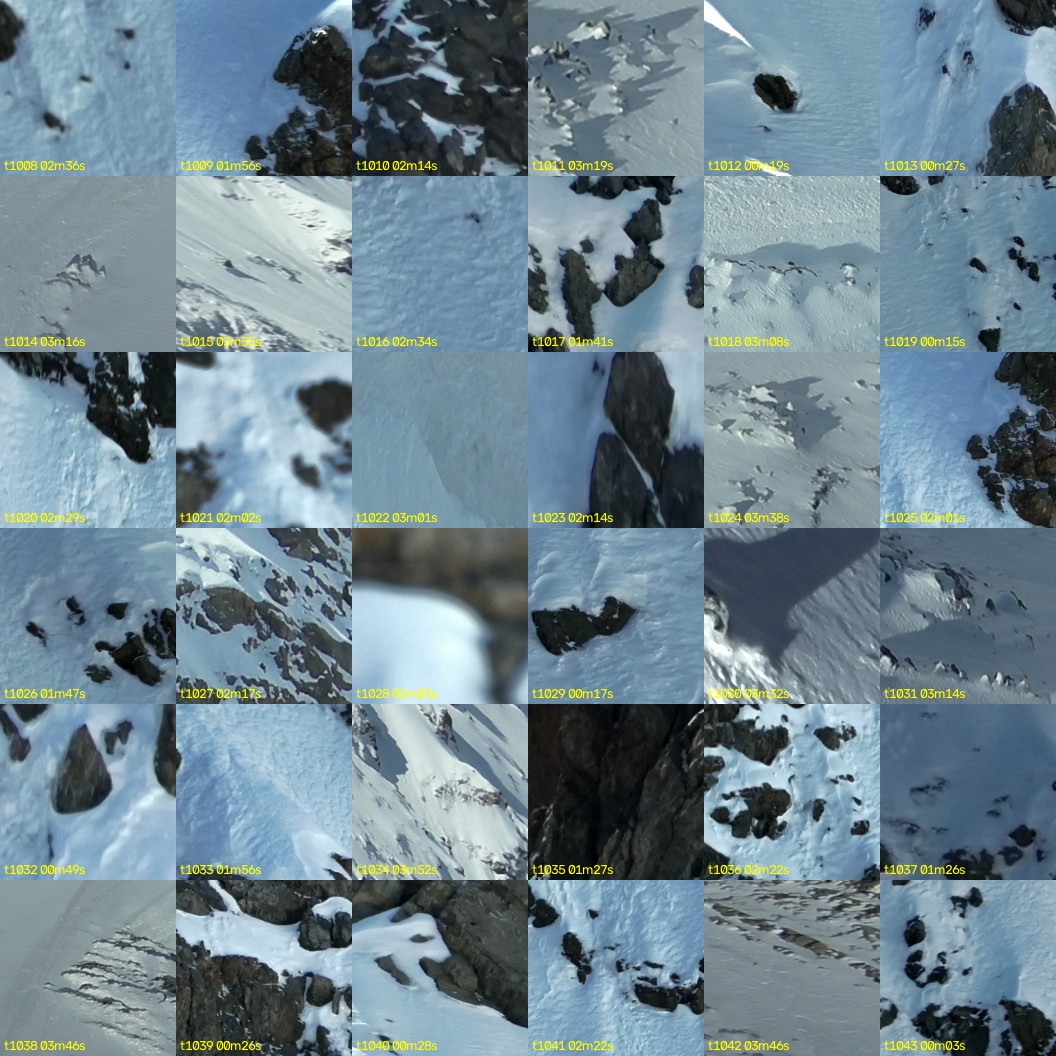 montage_28.jpg