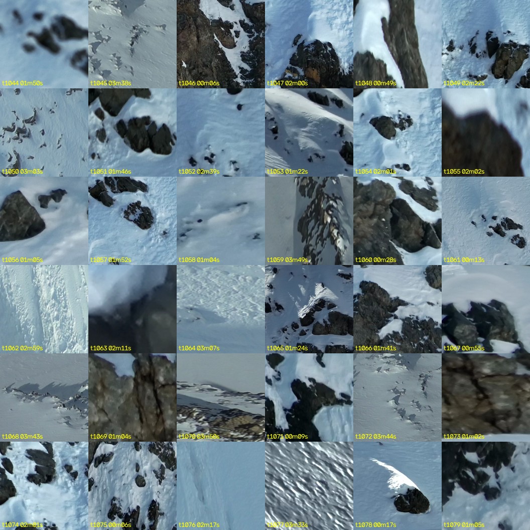 montage_29.jpg