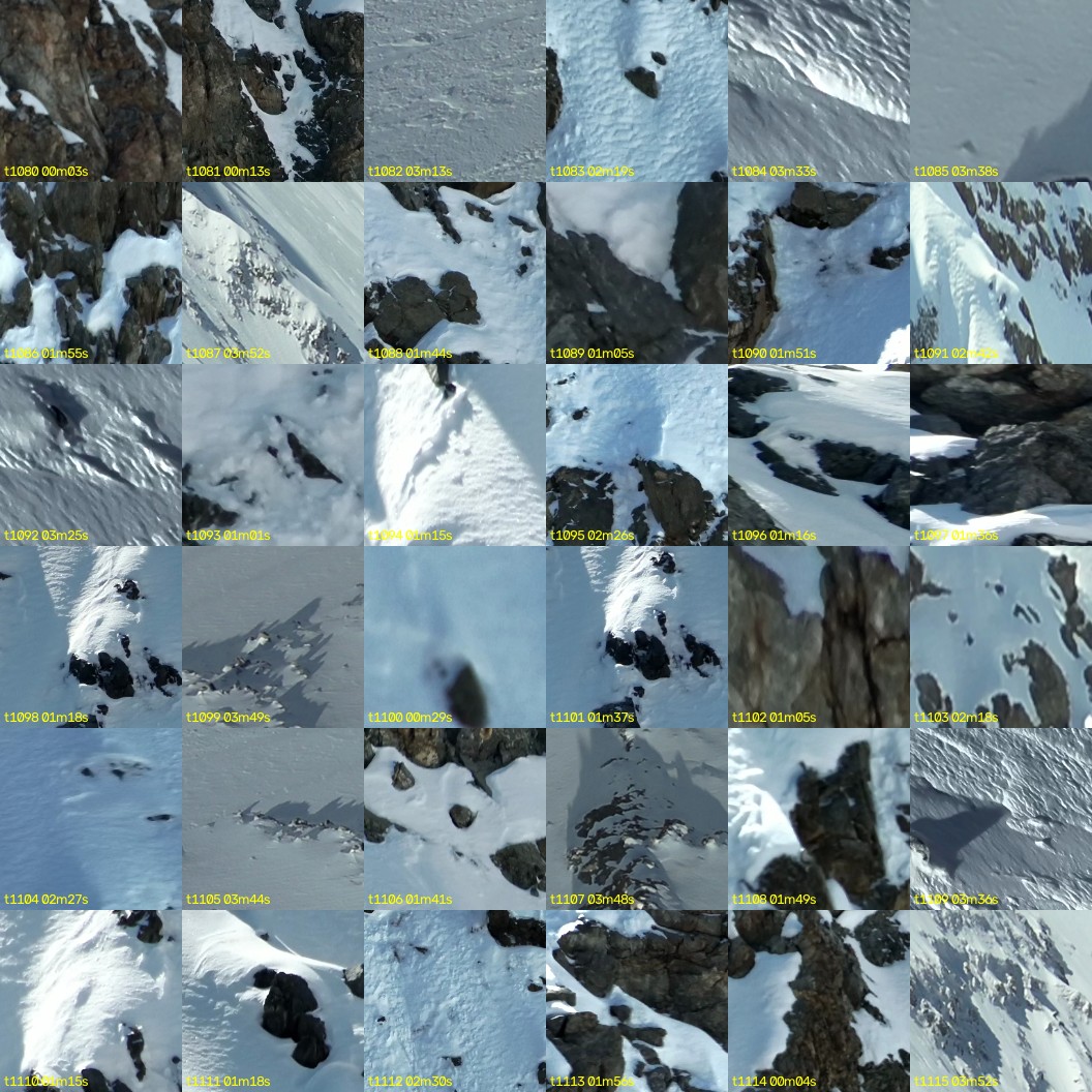 montage_30.jpg