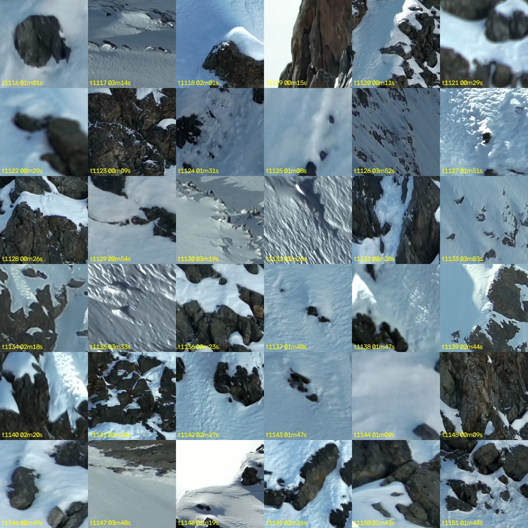 montage_31.jpg