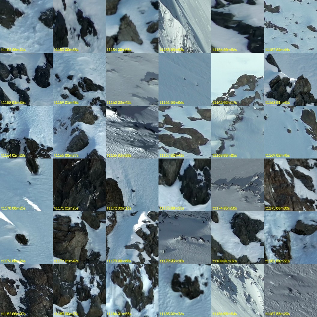 montage_32.jpg