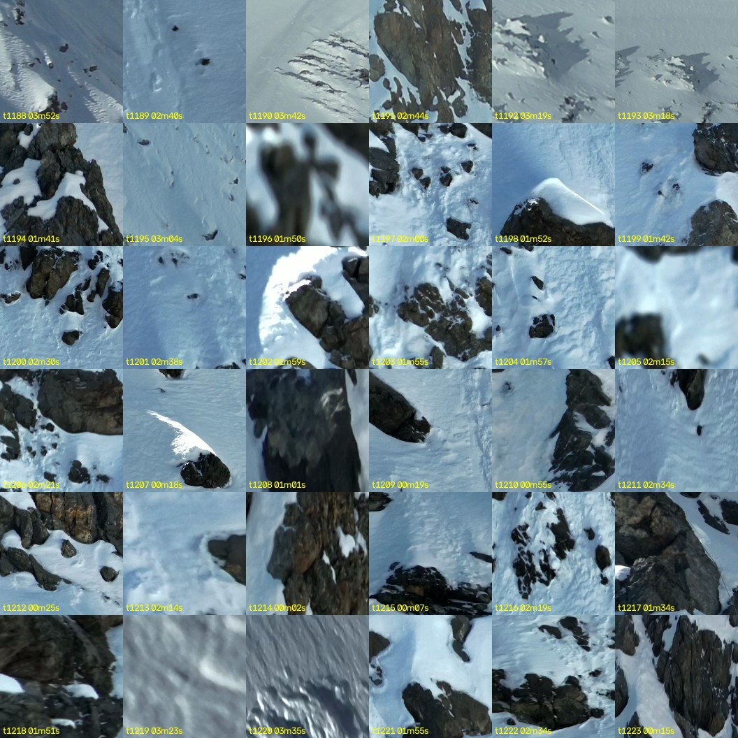 montage_33.jpg