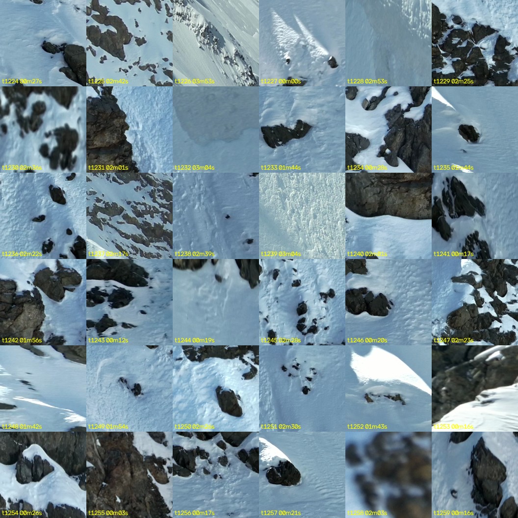 montage_34.jpg