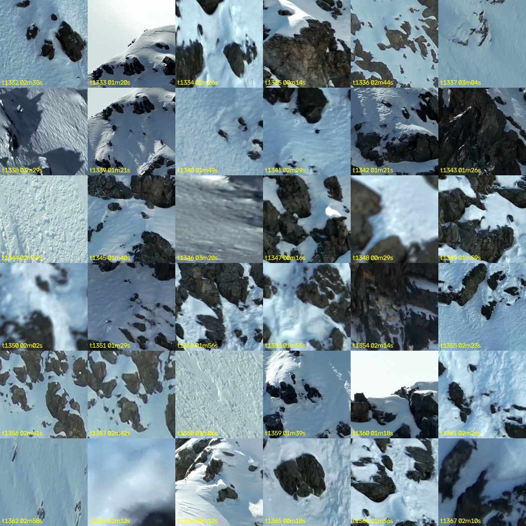 montage_37.jpg