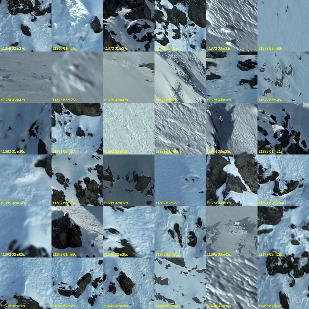 montage_38.jpg