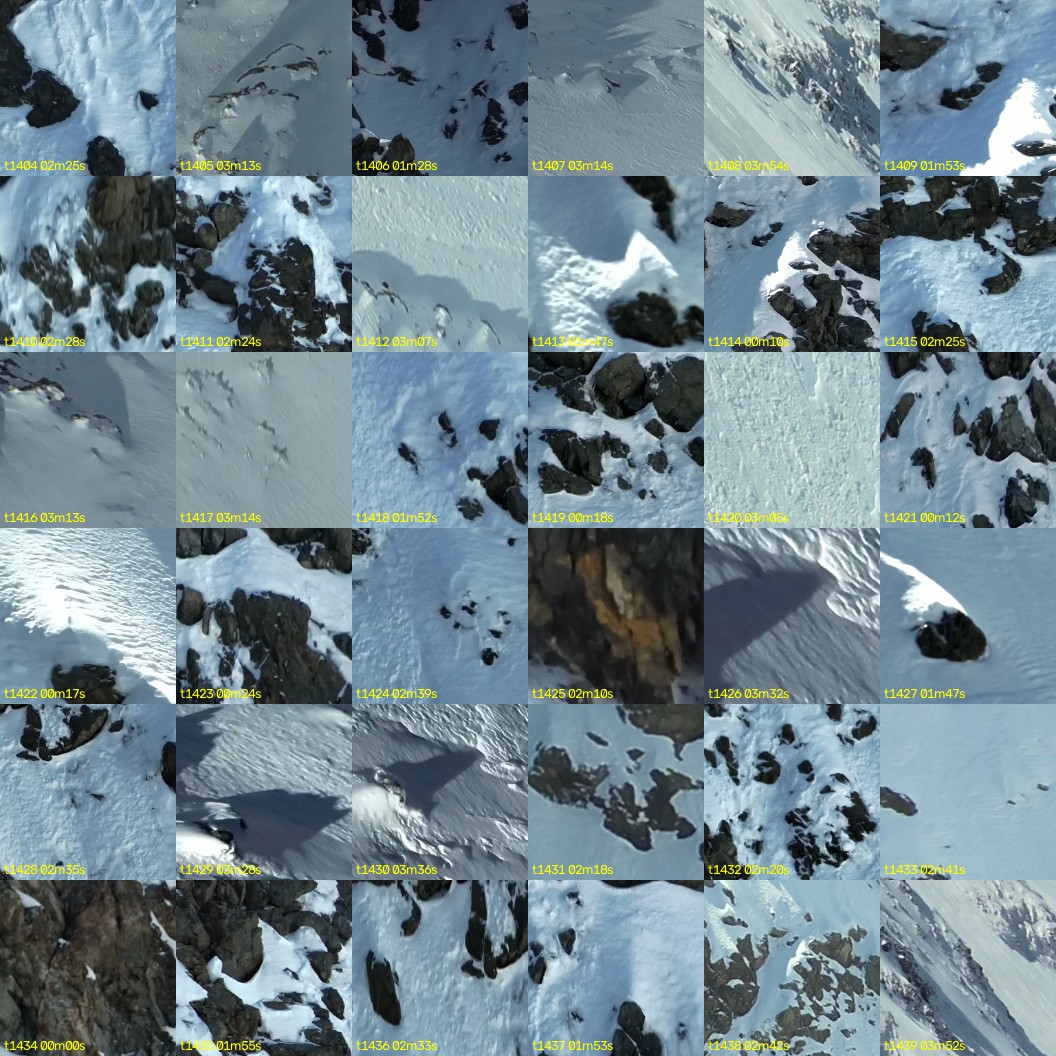 montage_39.jpg