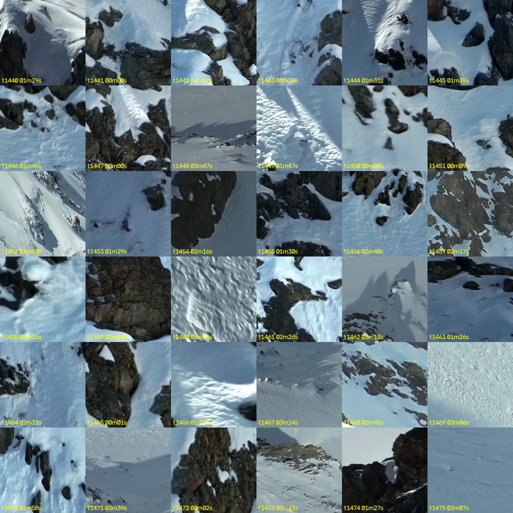 montage_40.jpg