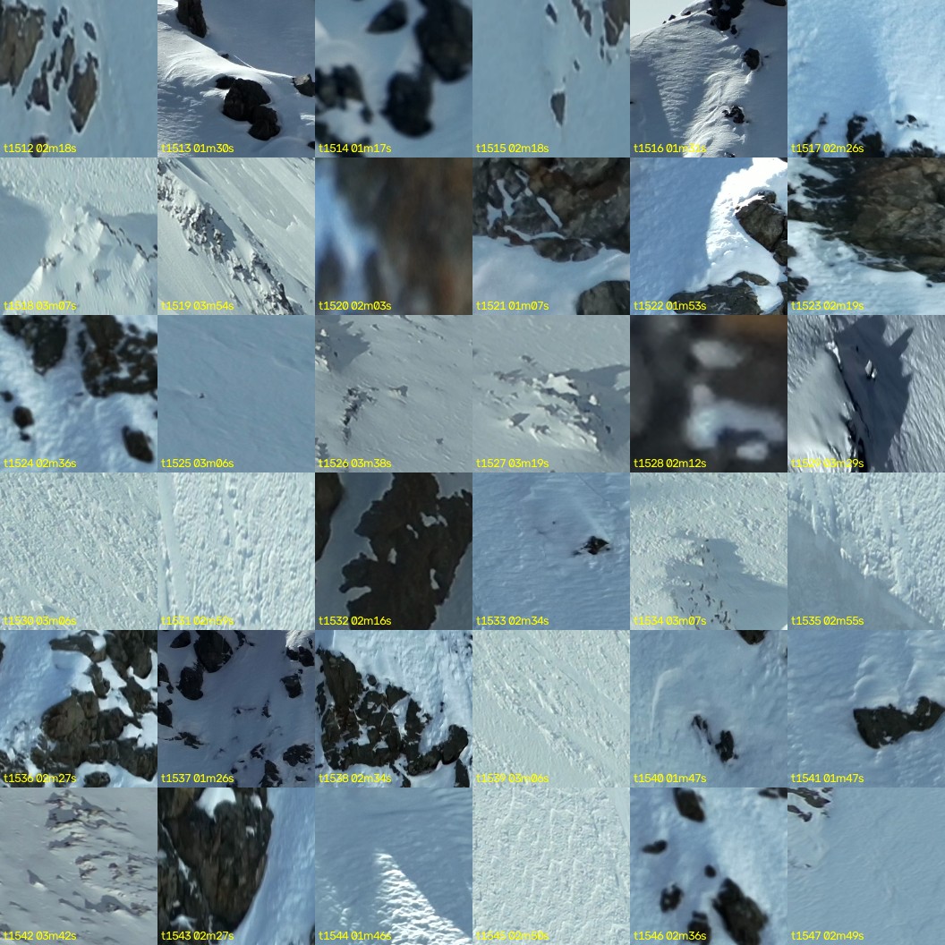 montage_42.jpg