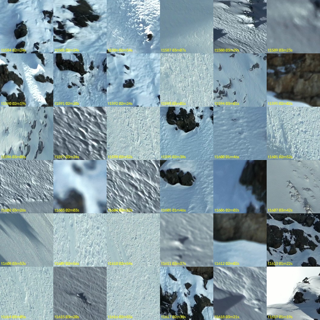 montage_44.jpg