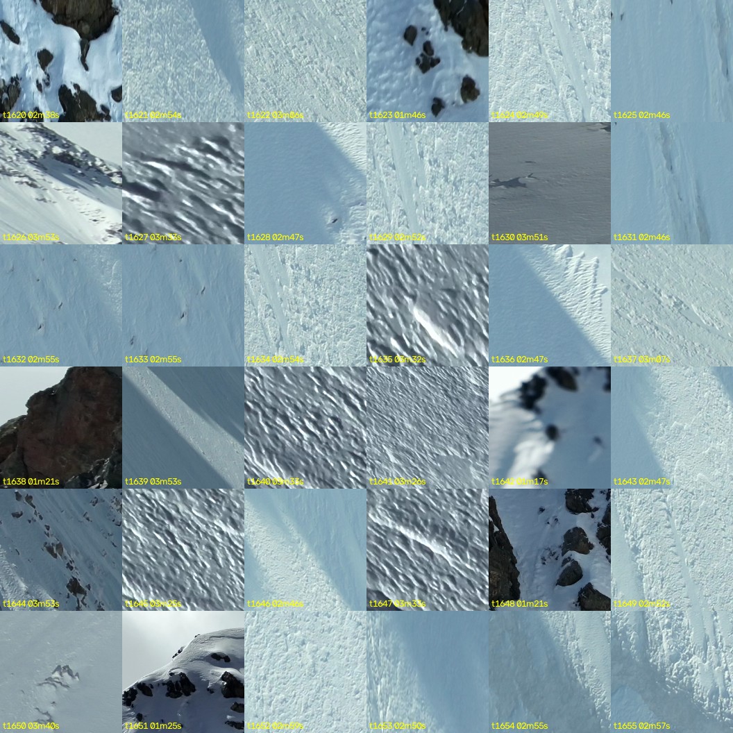 montage_45.jpg