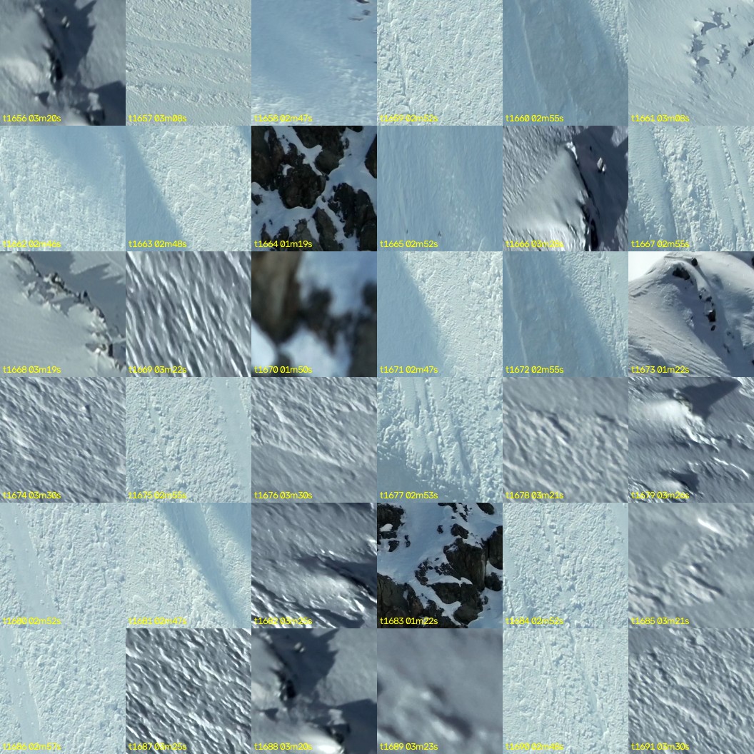 montage_46.jpg