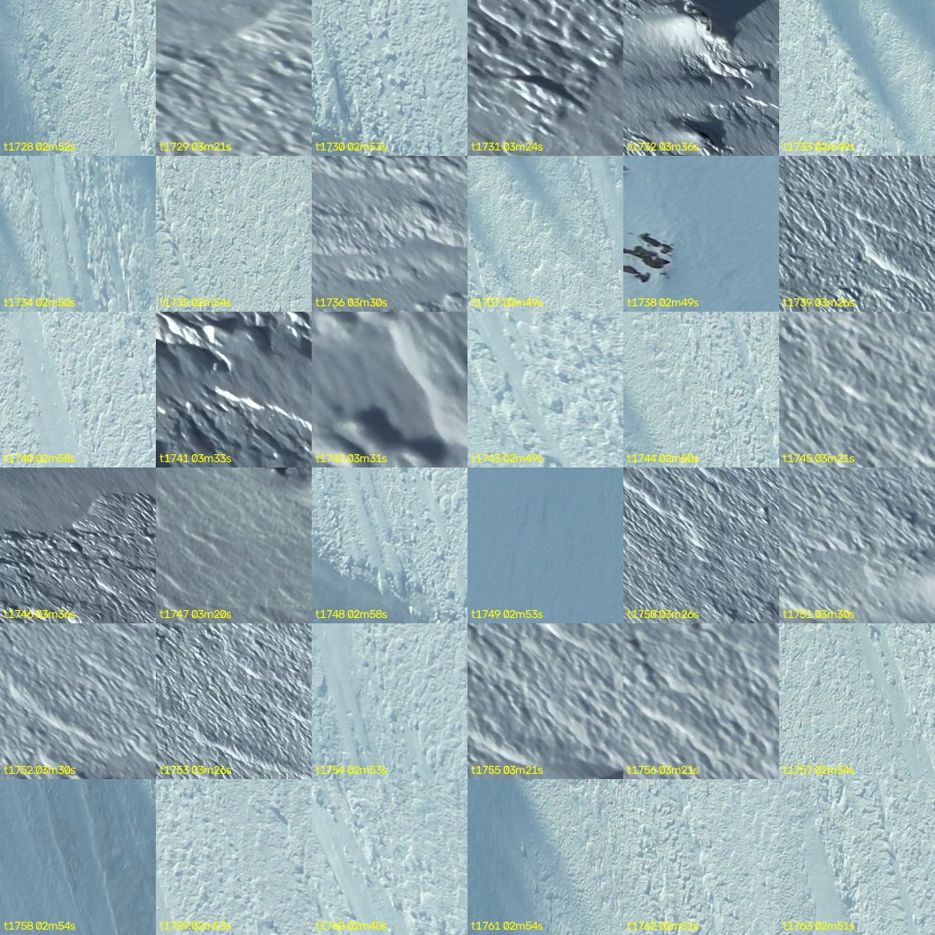 montage_48.jpg