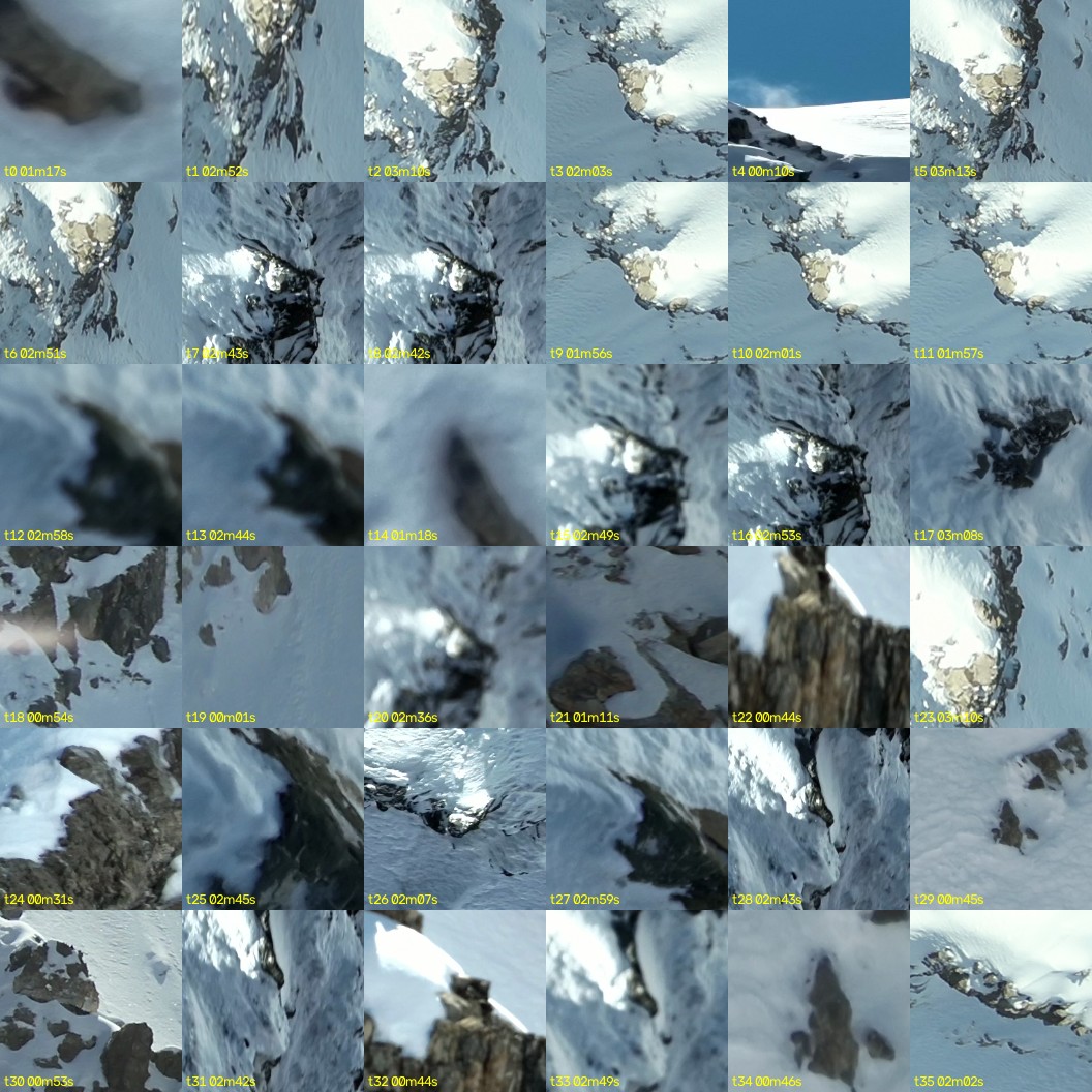 montage_00.jpg