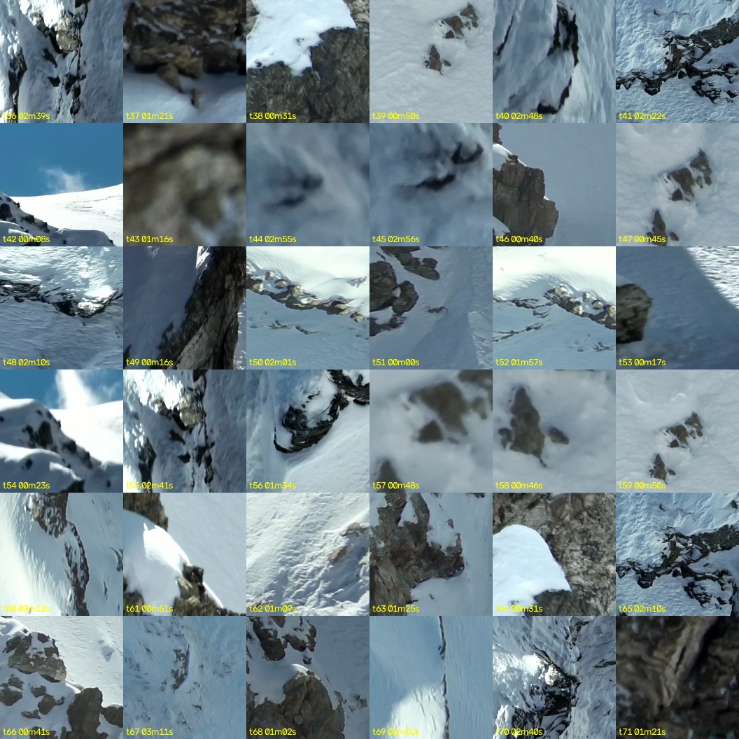 montage_01.jpg