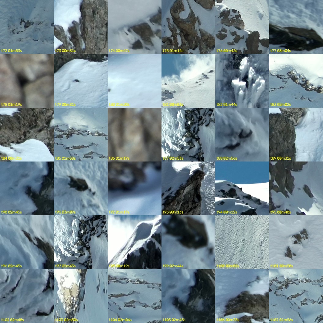 montage_02.jpg