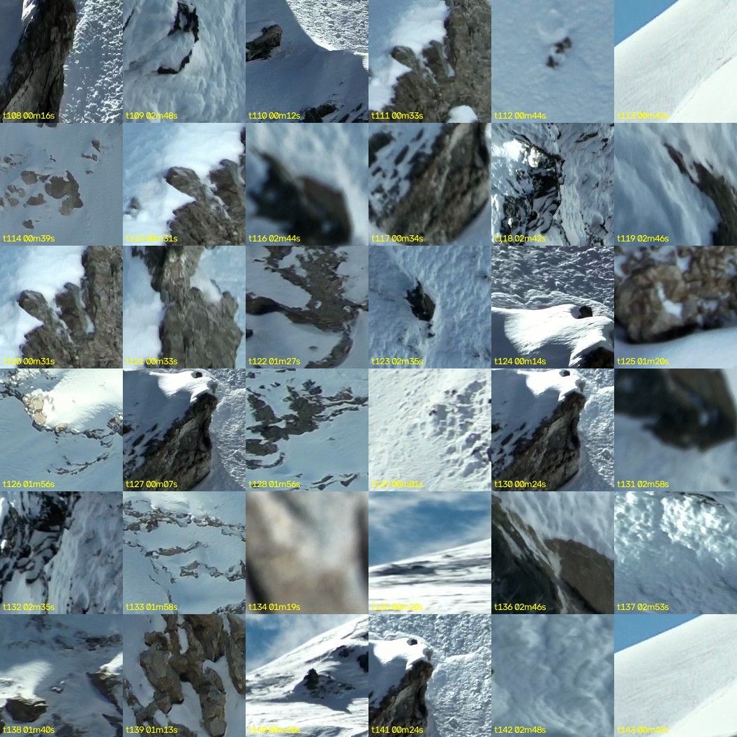 montage_03.jpg