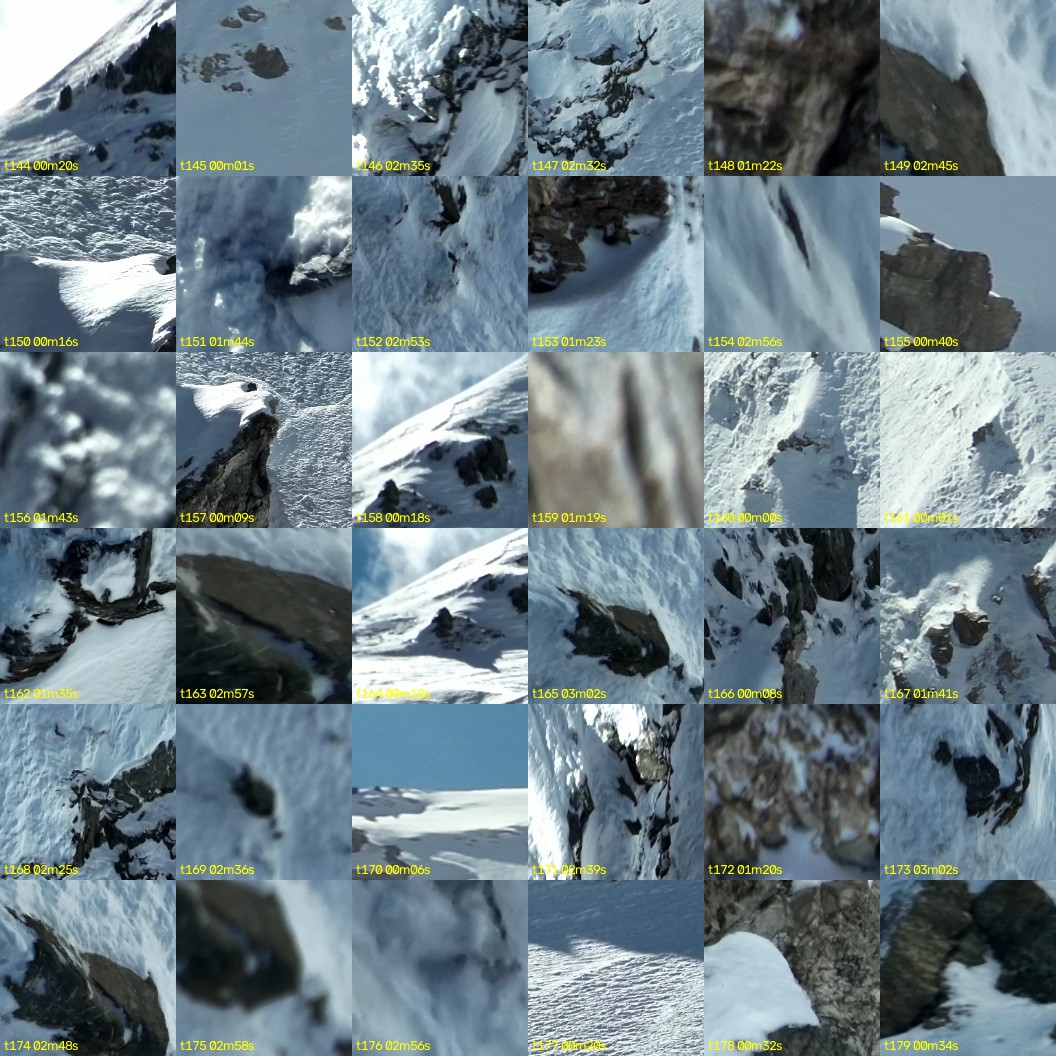 montage_04.jpg