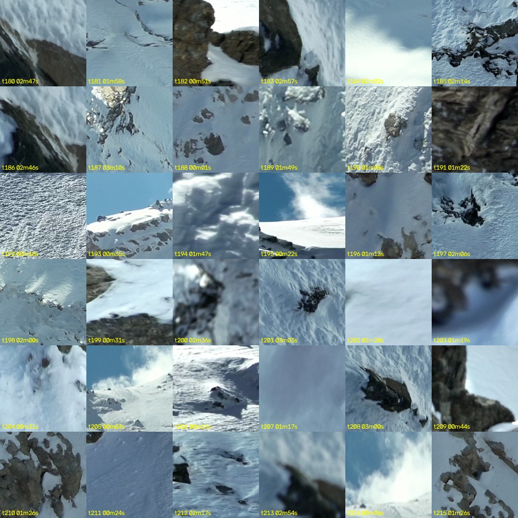montage_05.jpg